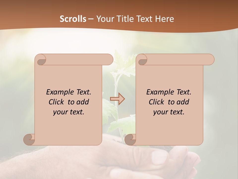 Plant Old Sprout PowerPoint Template