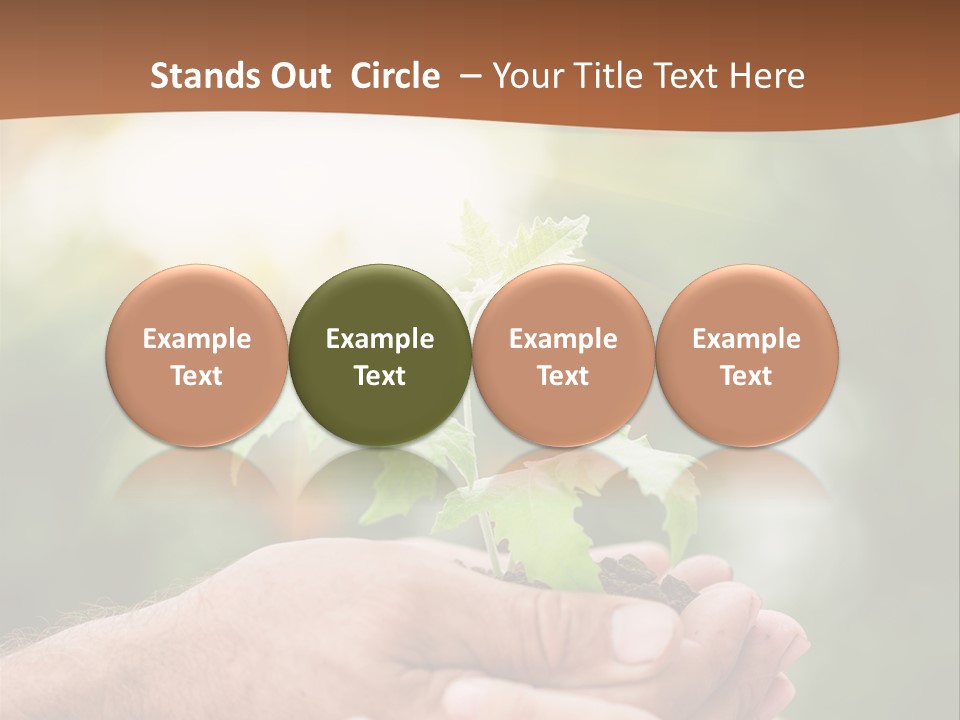 Plant Old Sprout PowerPoint Template