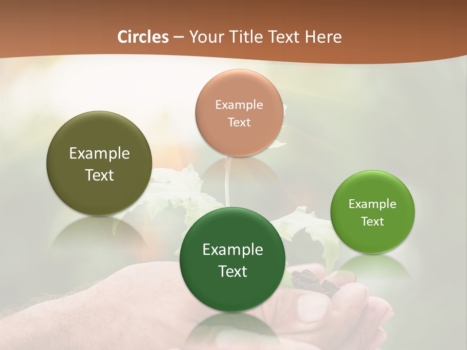 Plant Old Sprout PowerPoint Template