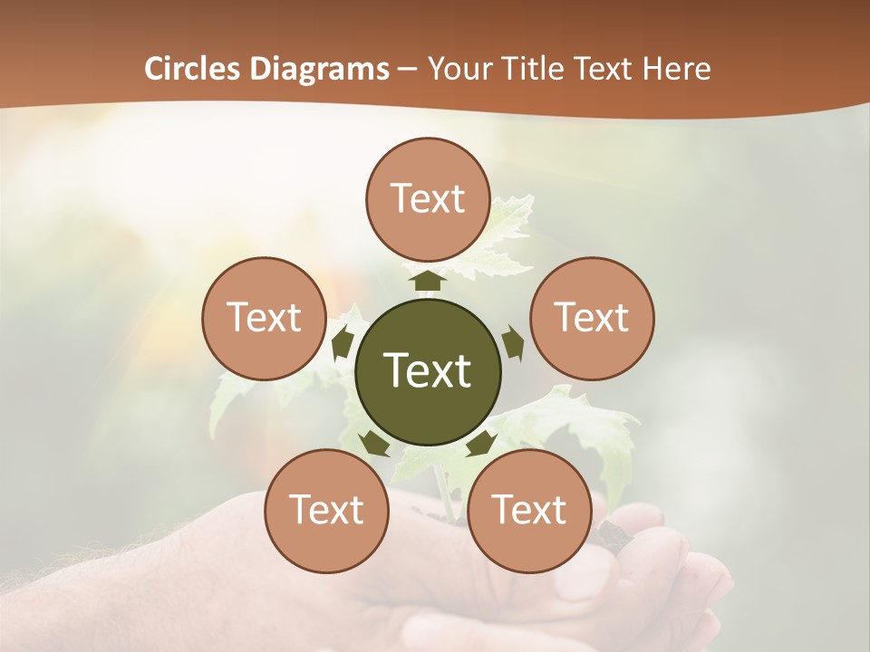 Plant Old Sprout PowerPoint Template