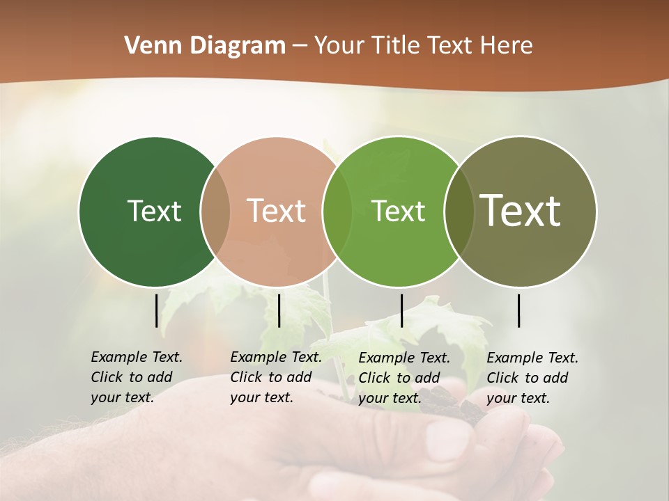 Plant Old Sprout PowerPoint Template