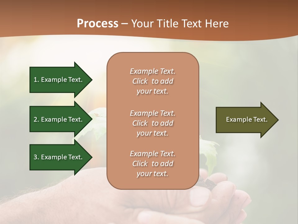 Plant Old Sprout PowerPoint Template