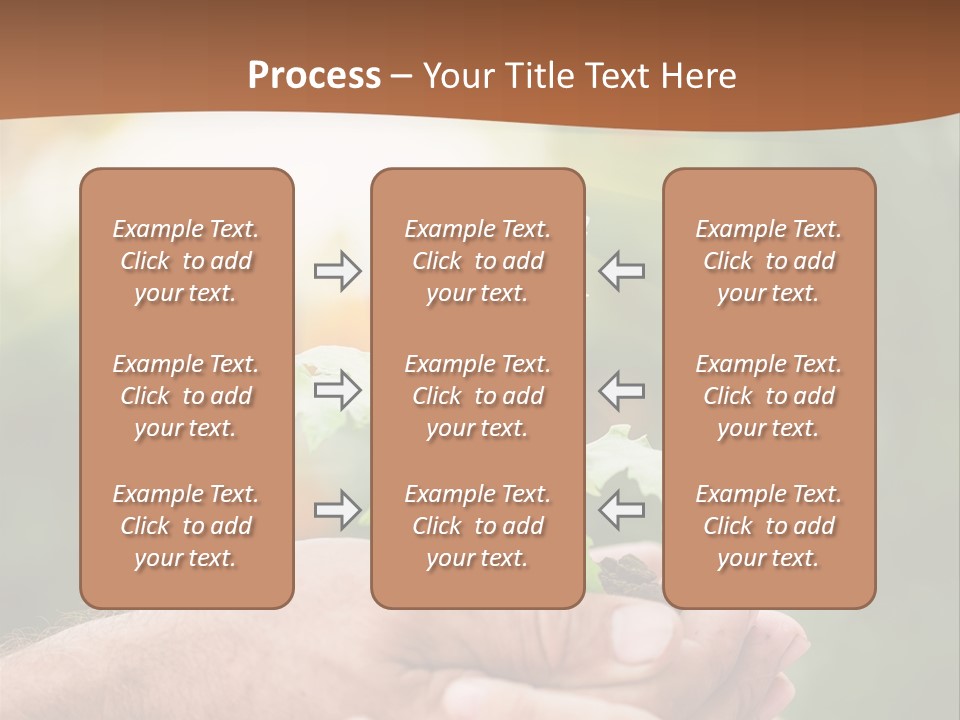 Plant Old Sprout PowerPoint Template