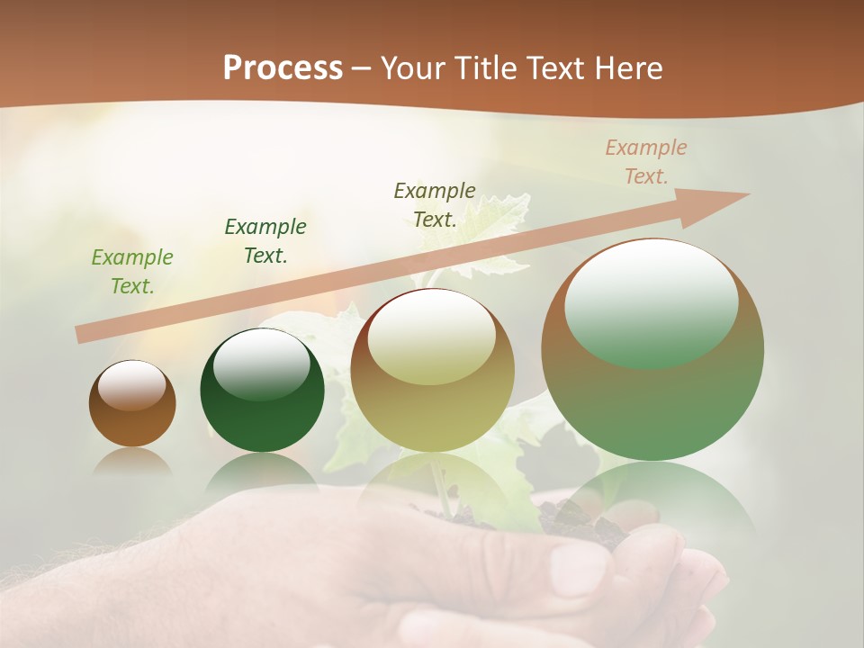 Plant Old Sprout PowerPoint Template