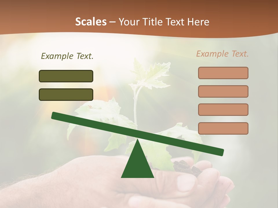 Plant Old Sprout PowerPoint Template