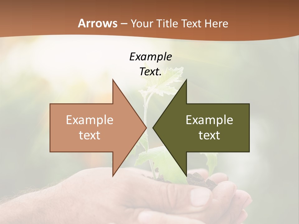 Plant Old Sprout PowerPoint Template