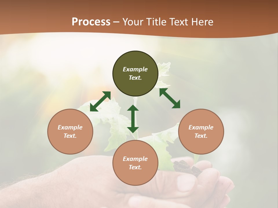 Plant Old Sprout PowerPoint Template