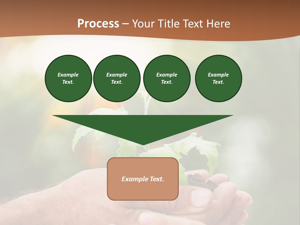 Plant Old Sprout PowerPoint Template