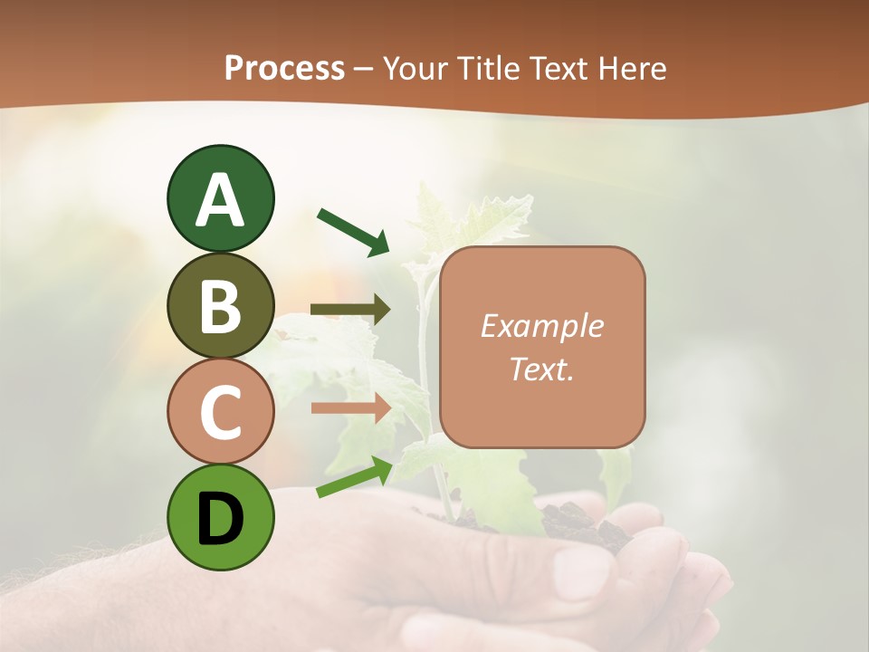 Plant Old Sprout PowerPoint Template