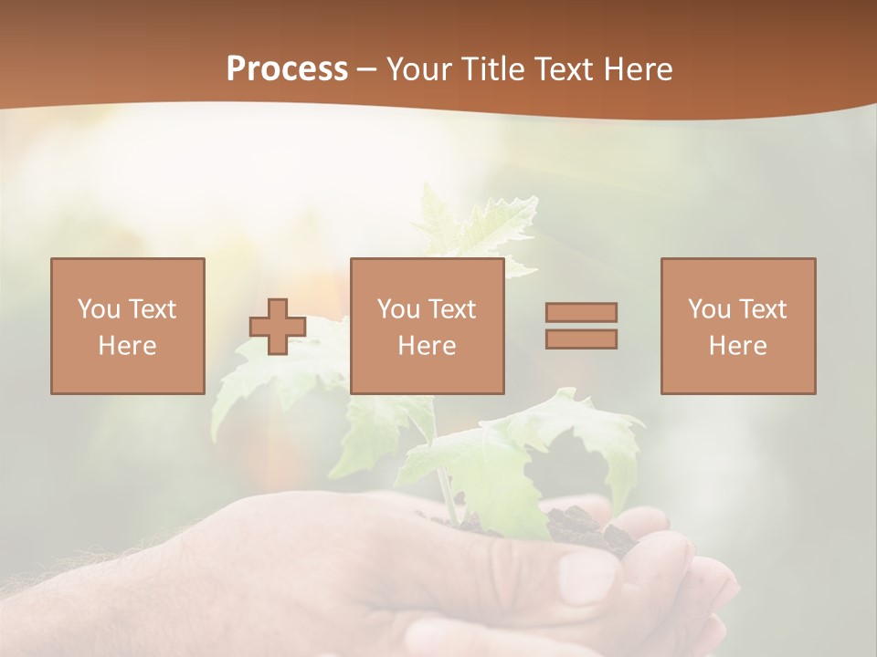 Plant Old Sprout PowerPoint Template