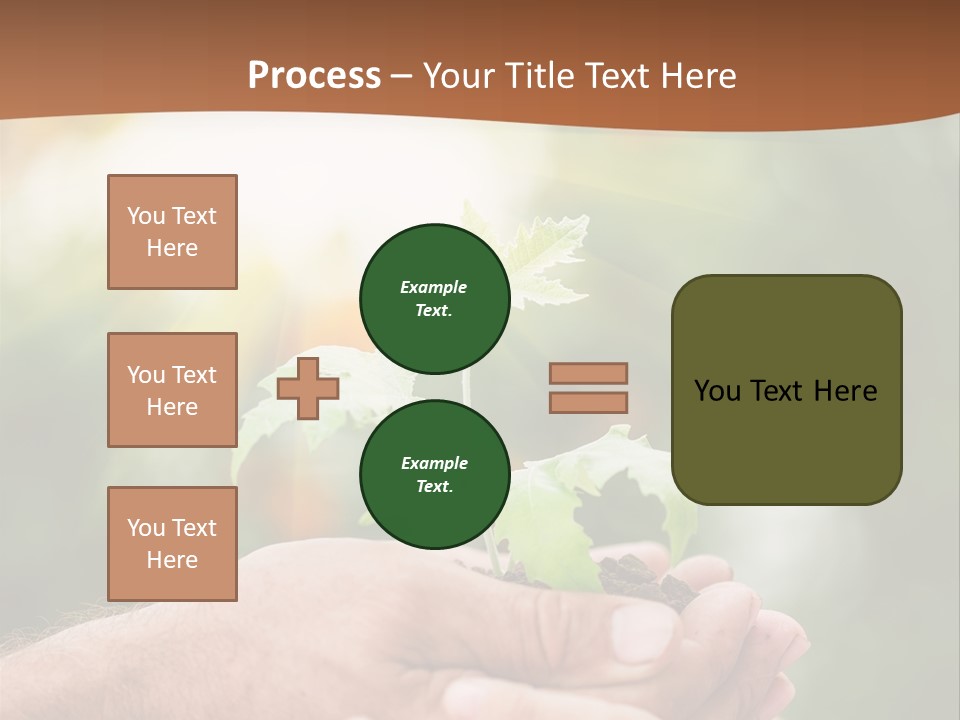 Plant Old Sprout PowerPoint Template