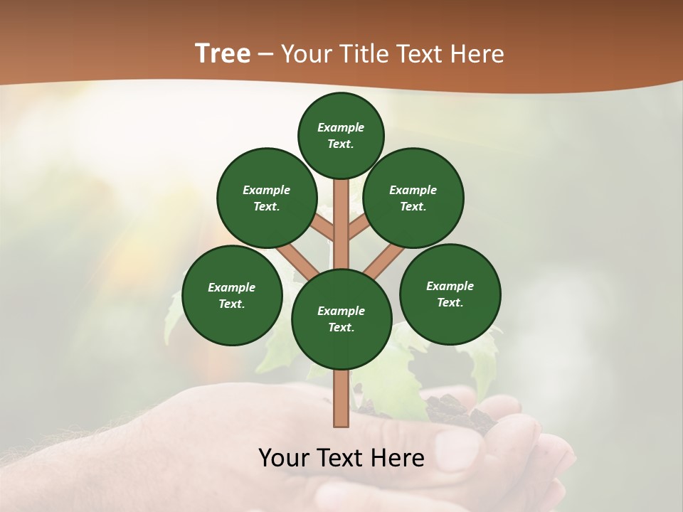 Plant Old Sprout PowerPoint Template