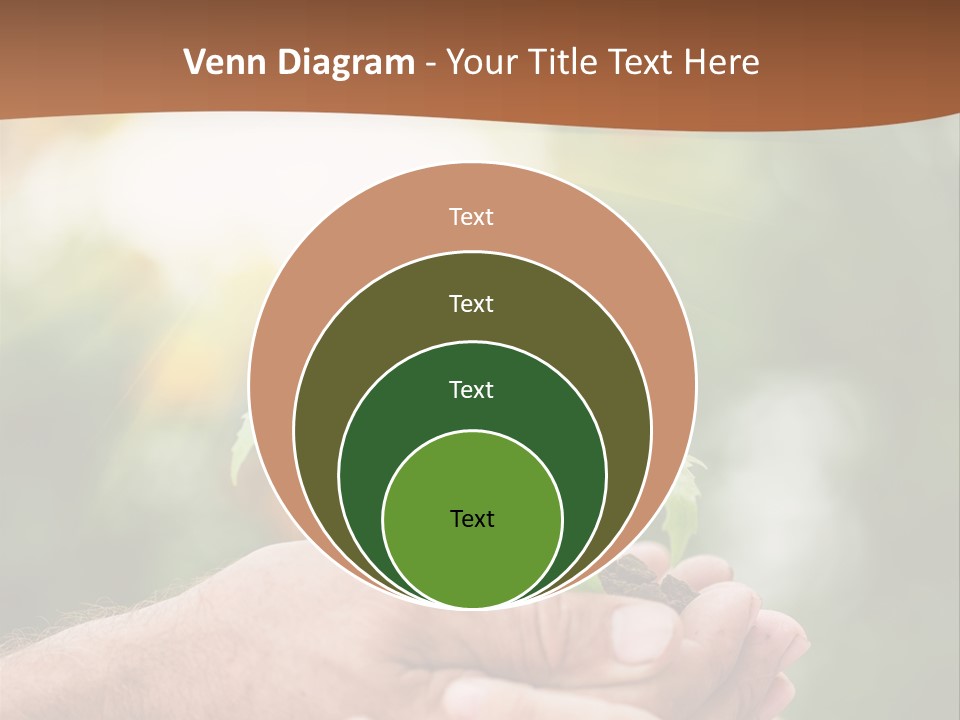 Plant Old Sprout PowerPoint Template