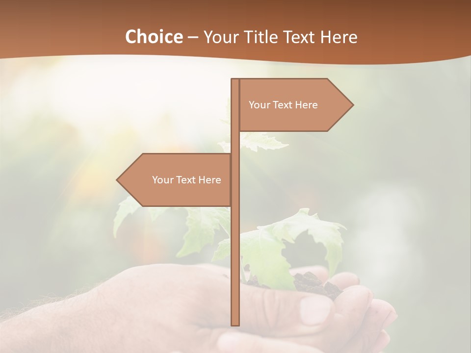 Plant Old Sprout PowerPoint Template