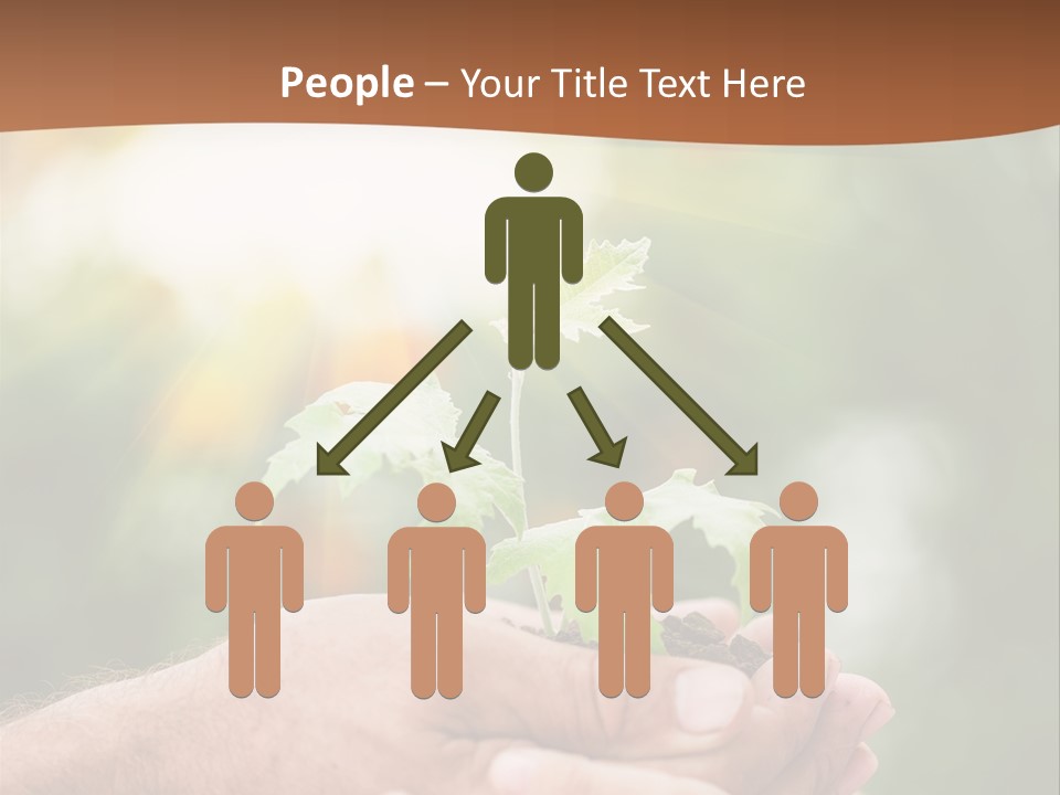 Plant Old Sprout PowerPoint Template