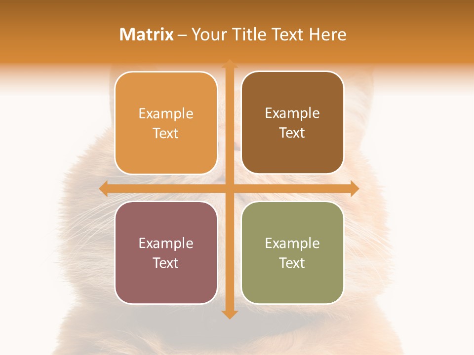 Claw Beautiful Love PowerPoint Template