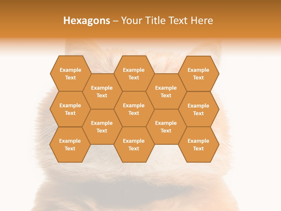 Claw Beautiful Love PowerPoint Template