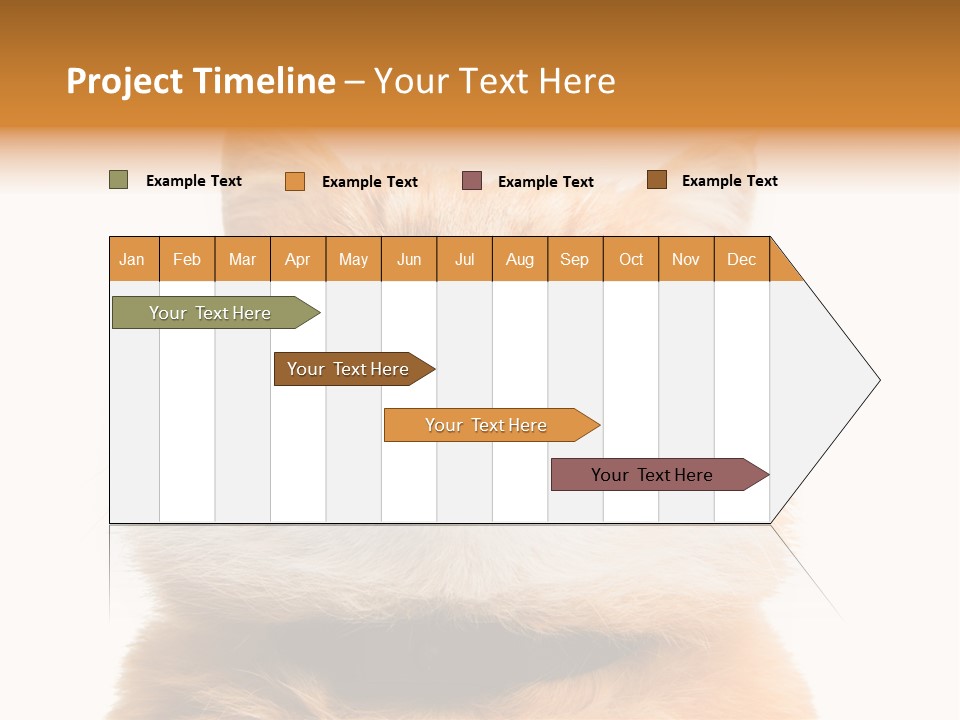 Claw Beautiful Love PowerPoint Template