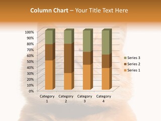 Claw Beautiful Love PowerPoint Template