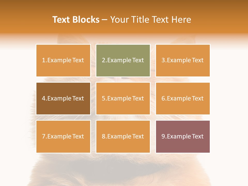 Claw Beautiful Love PowerPoint Template