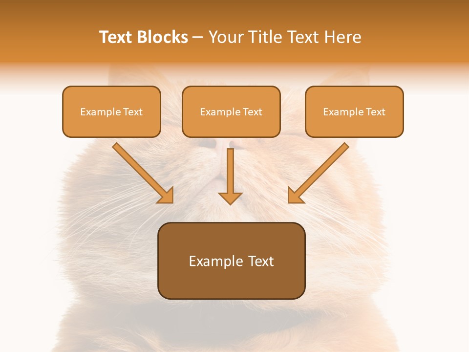 Claw Beautiful Love PowerPoint Template