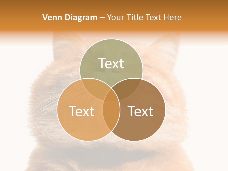 Claw Beautiful Love PowerPoint Template