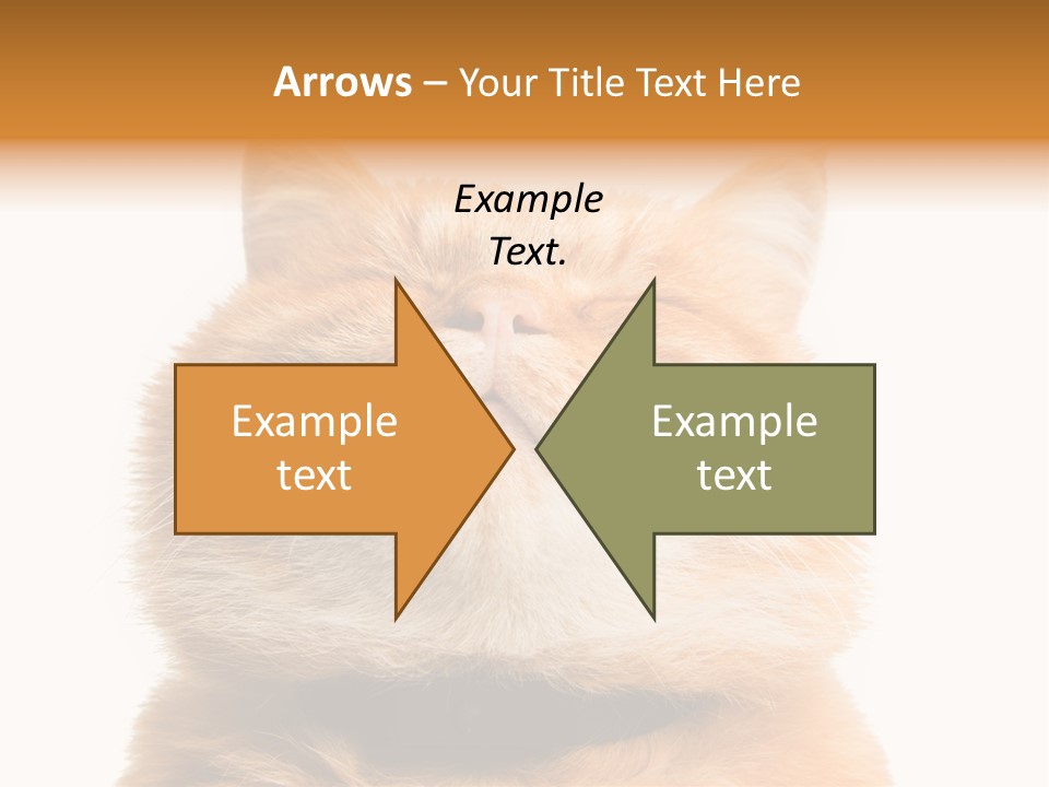Claw Beautiful Love PowerPoint Template