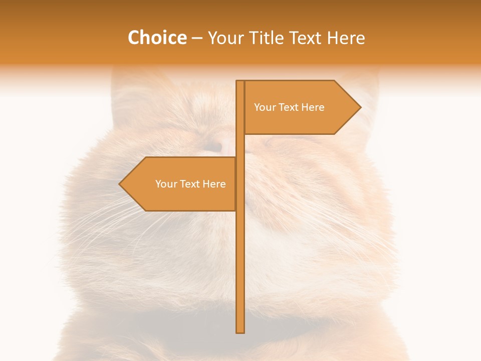 Claw Beautiful Love PowerPoint Template