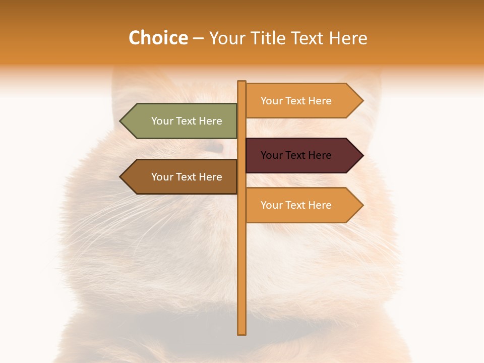 Claw Beautiful Love PowerPoint Template