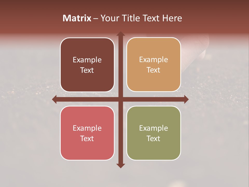 Soy Hands Sow PowerPoint Template