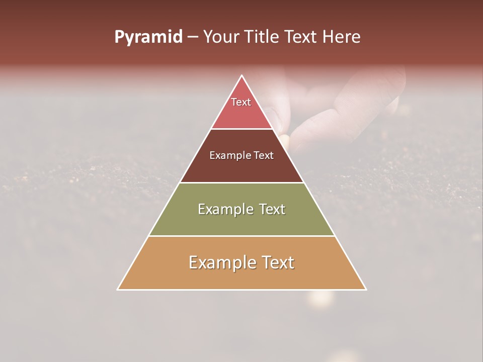 Soy Hands Sow PowerPoint Template