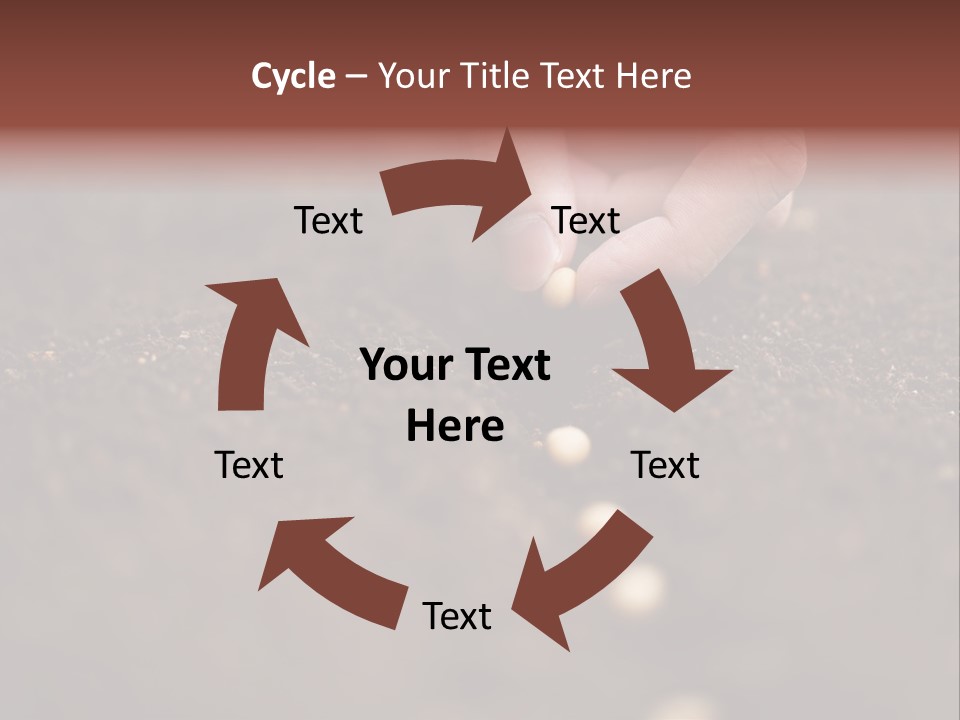 Soy Hands Sow PowerPoint Template