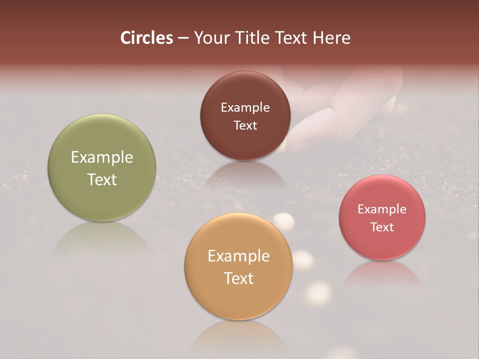 Soy Hands Sow PowerPoint Template