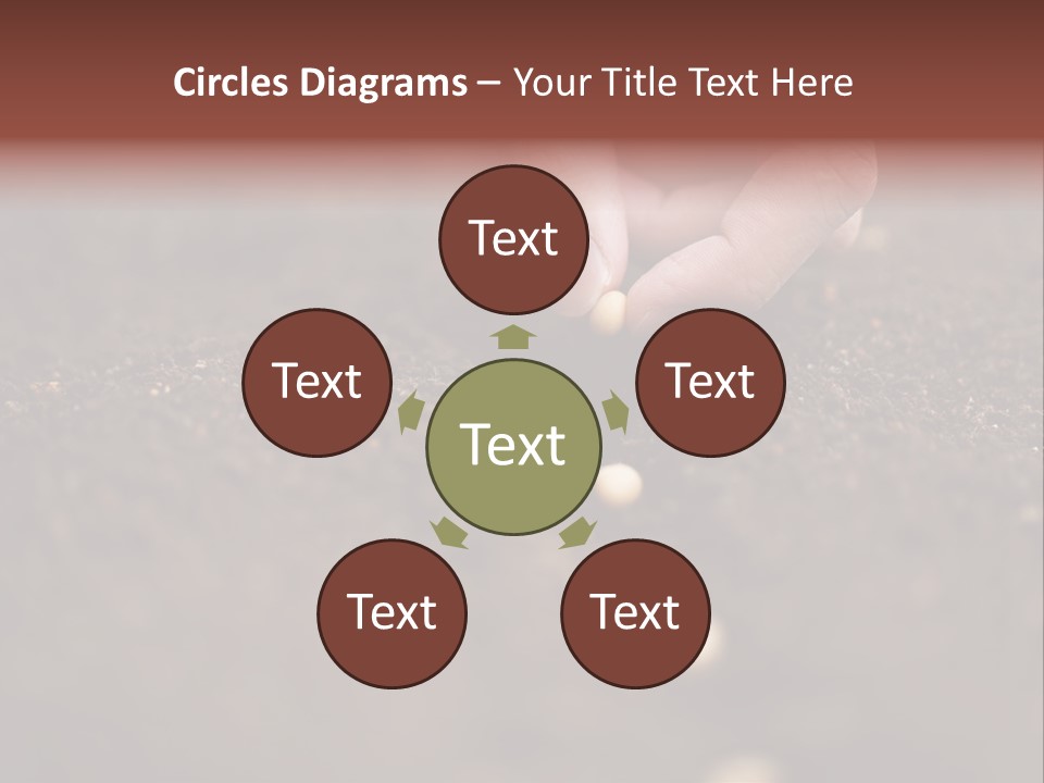 Soy Hands Sow PowerPoint Template