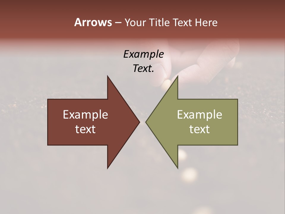 Soy Hands Sow PowerPoint Template