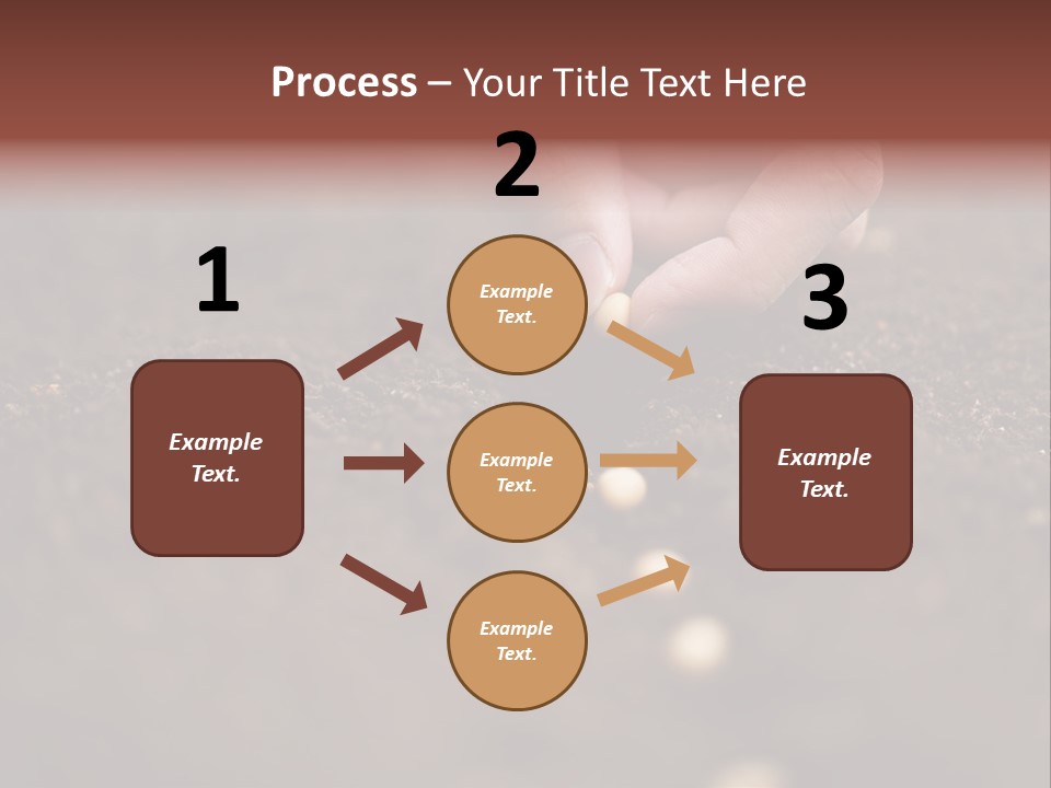 Soy Hands Sow PowerPoint Template