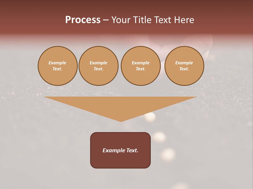 Soy Hands Sow PowerPoint Template