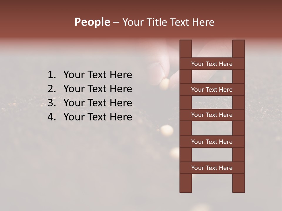 Soy Hands Sow PowerPoint Template