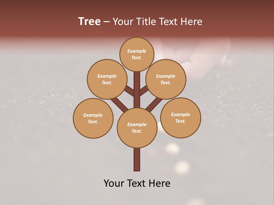 Soy Hands Sow PowerPoint Template