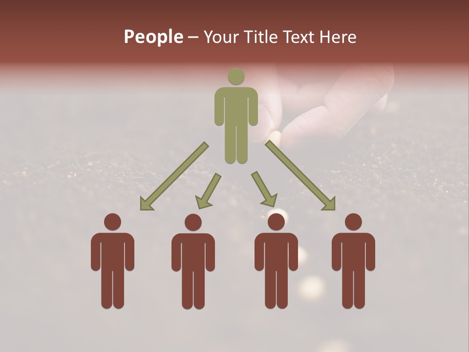 Soy Hands Sow PowerPoint Template