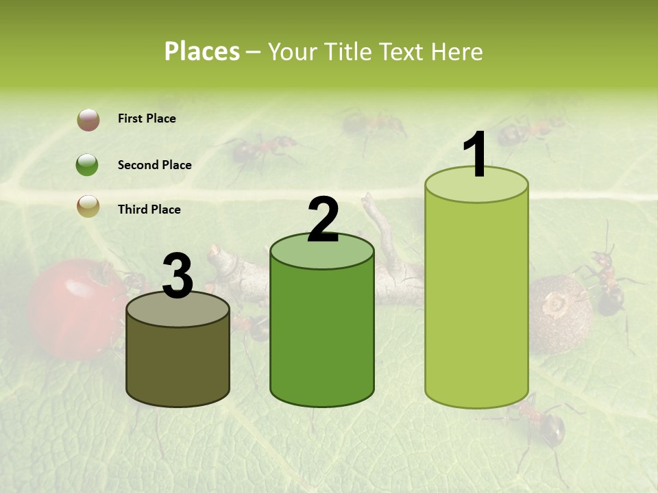 Idea Dividing Path PowerPoint Template