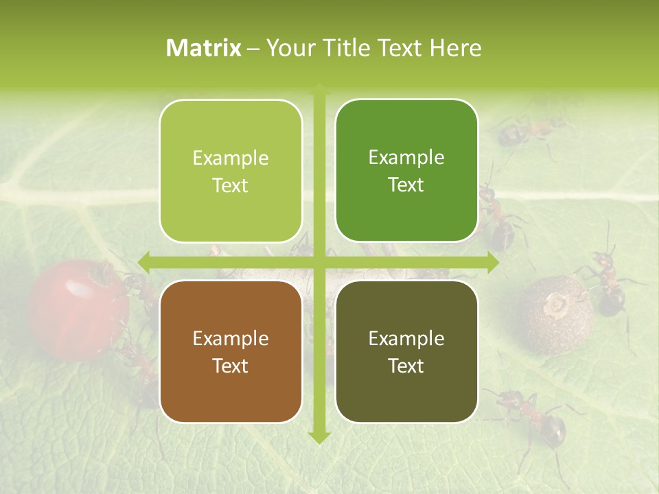 Idea Dividing Path PowerPoint Template