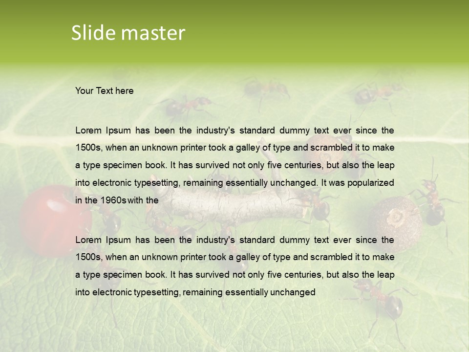 Idea Dividing Path PowerPoint Template