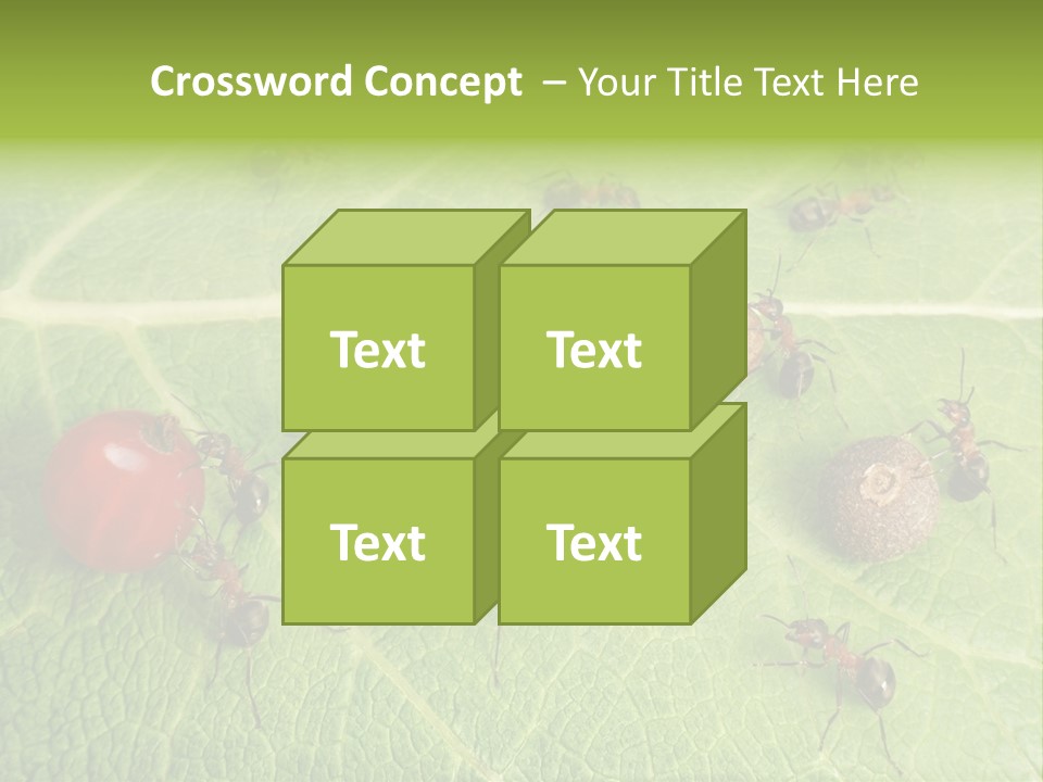Idea Dividing Path PowerPoint Template