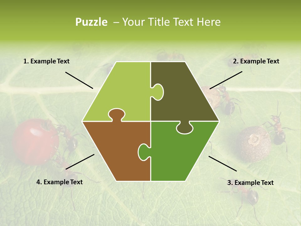 Idea Dividing Path PowerPoint Template