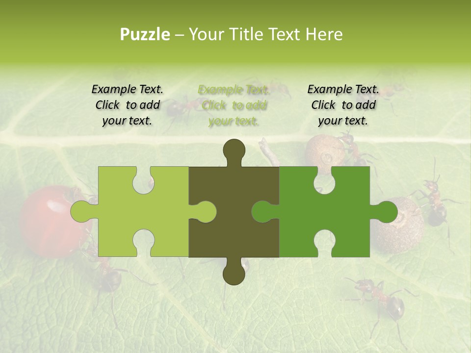Idea Dividing Path PowerPoint Template