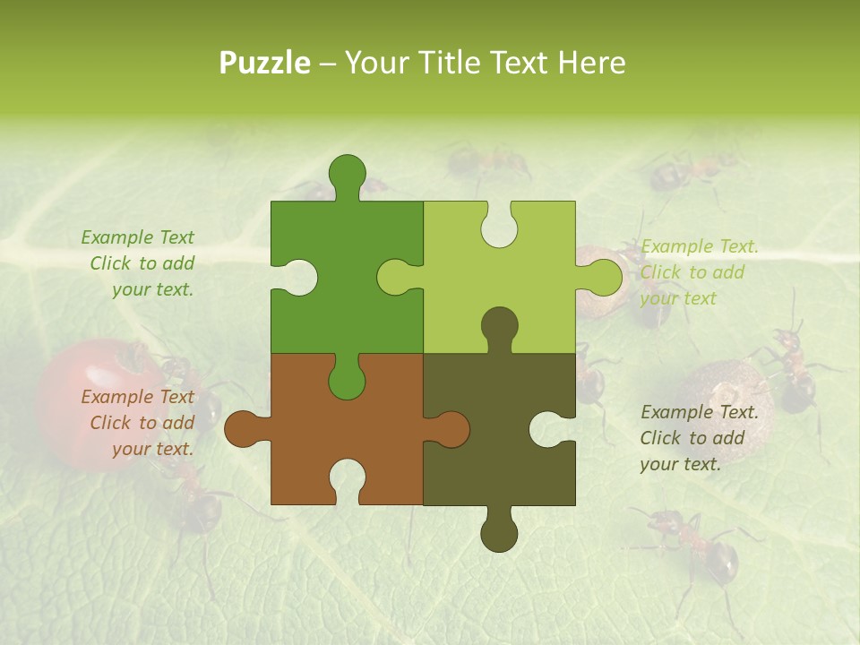 Idea Dividing Path PowerPoint Template