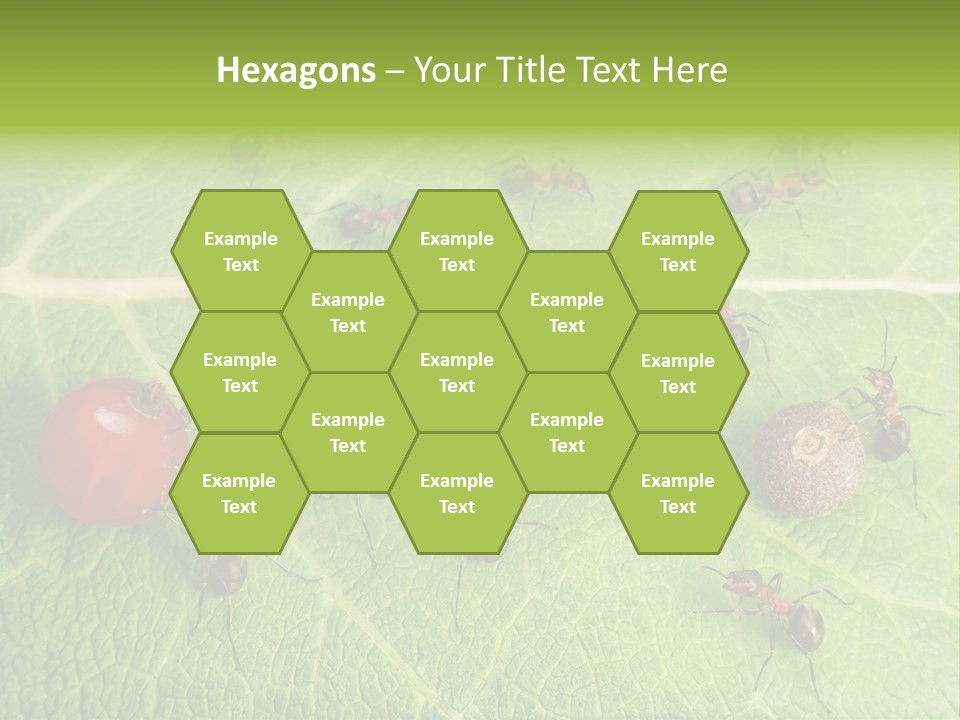Idea Dividing Path PowerPoint Template