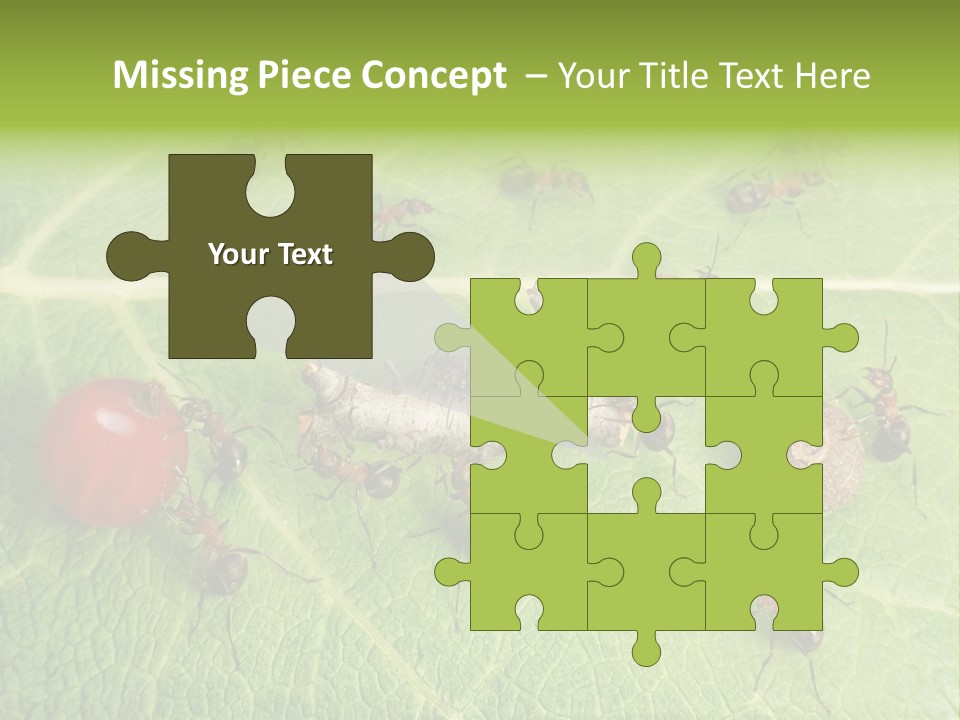 Idea Dividing Path PowerPoint Template