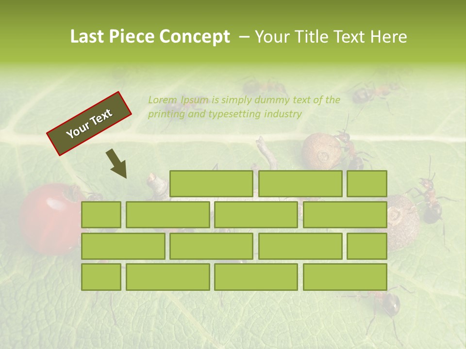 Idea Dividing Path PowerPoint Template